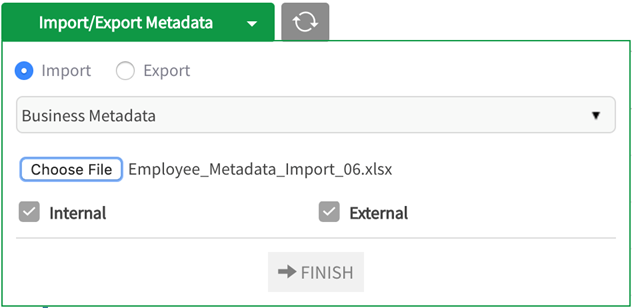 Selected spreadsheet displays in import buisness metadata modal