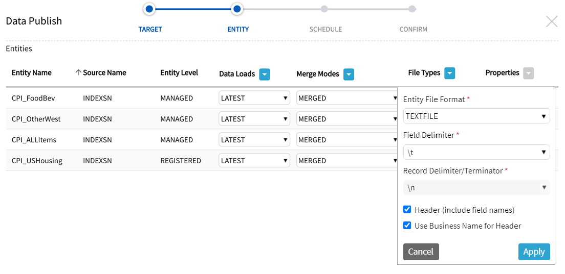 Entity Flle Format settings