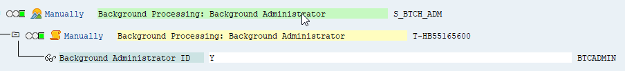 SAP interface, showing scheduled job administration permission.
