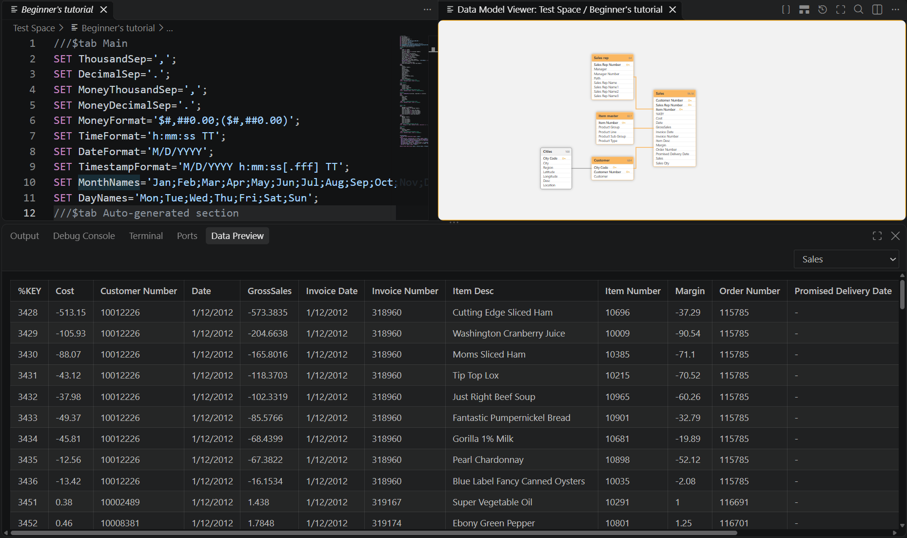 Data Preview of an application within Qlik Code