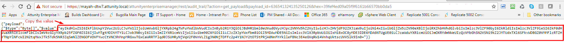 Example byte array in browser window