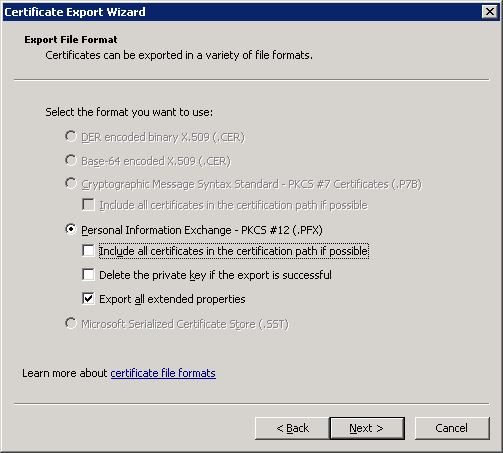 The Export File Format screen. "Personal Information Exchange" is selected, and the "Export all extended properties" box is ticked.