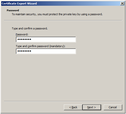 The Password screen. A password has been entered in two places.