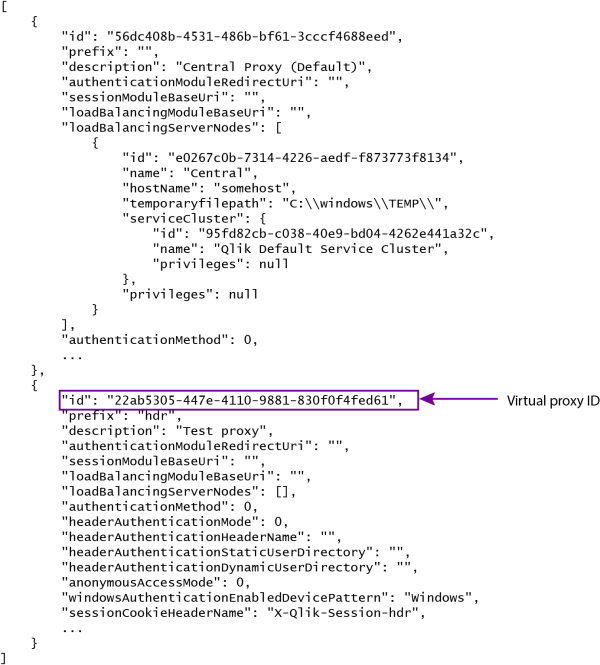 Code output showing where to find the proxy ID.