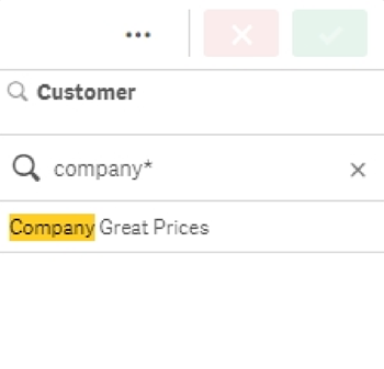 Search with * wildcard after several defined characters. Placing this wildcard after the word 'Company' returns all values beginning with this word. The actual search does not contain the quotation marks.