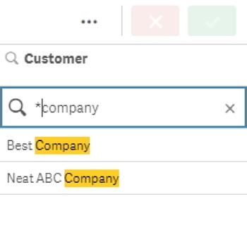 Search with * wildcard before several defined characters. Placing this wildcard before the word 'Company' returns all values ending with this word. The actual search does not contain the quotation marks.