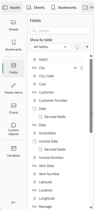 Asset panel in edit mode.