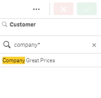 Click to view full size Search with * wildcard after several defined characters. Placing this wildcard after the word 'Company' returns all values beginning with this word. The actual search does not contain the quotation marks.