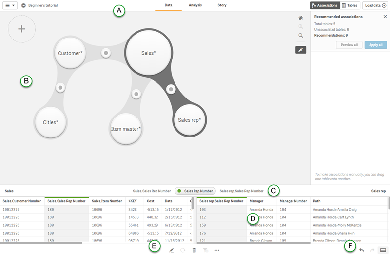 Data manager Associations view.