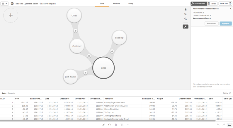 Associations view of the Data manager.