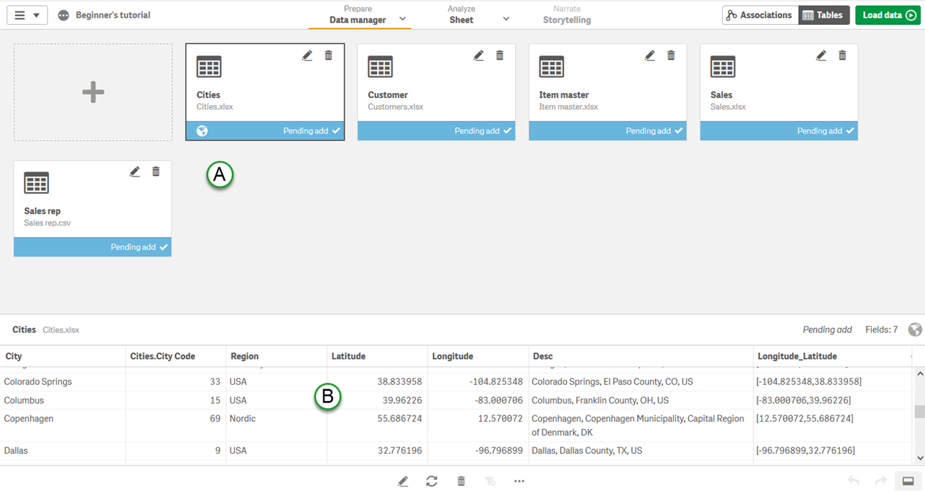 Data manager tables view