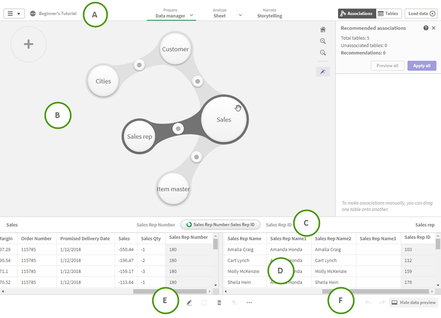 Data manager Associations view