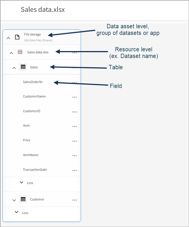 Un nodo con niveles de activos, recursos, tablas y campos