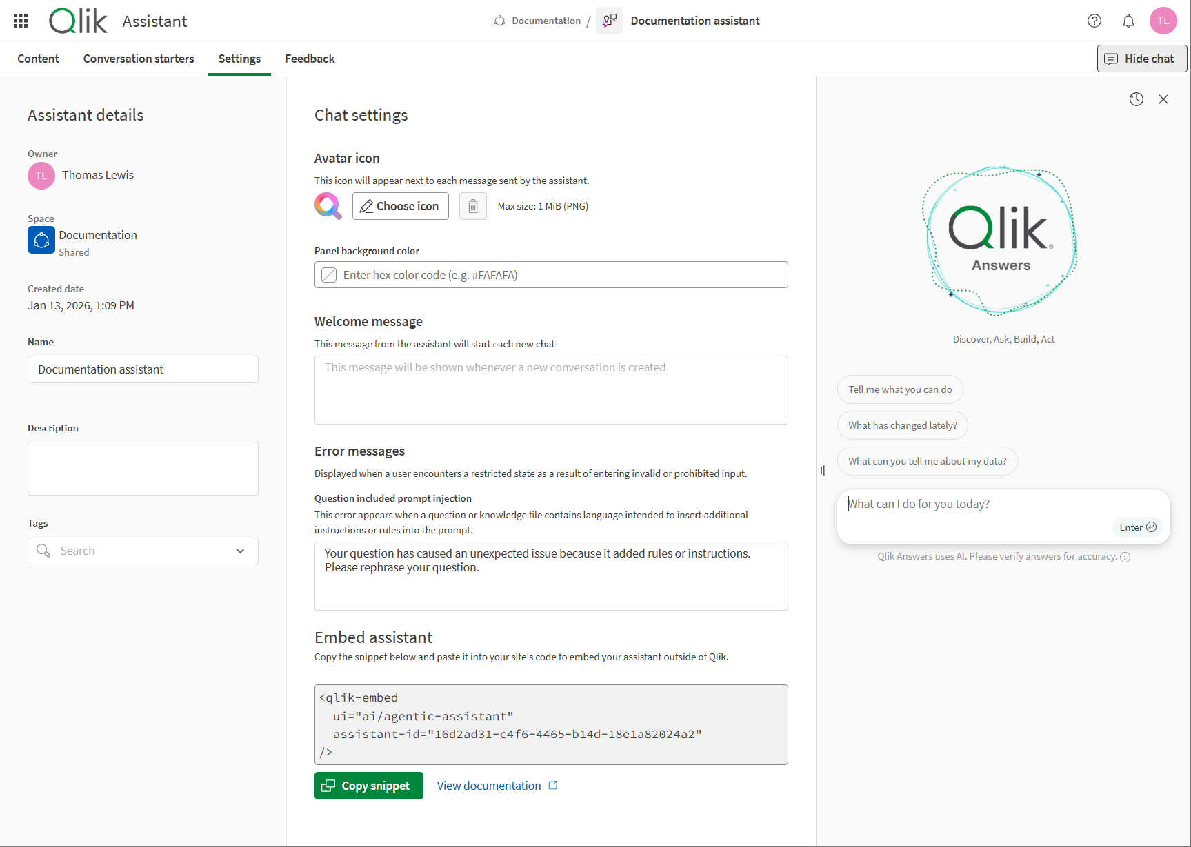 Onglet Paramètres affichant les détails et paramètres disponibles pour l'assistant et le chat.