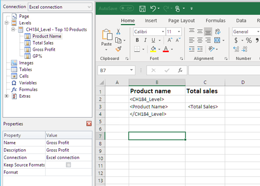 Modello di Excel con campi livello aggiunti.