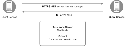 Two client services pass a Trust zone Server Certificate (Subject CN = server.domain.com) back and forth, via HTTPS GET server.domain.com/api/ and TLS Server hello.