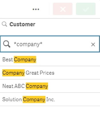 * 와일드카드로 둘러싸인 'Company'라는 단어를 검색합니다.