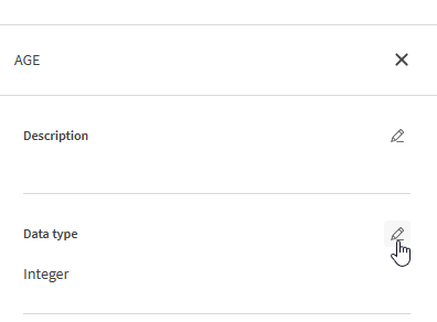 Edit icon of Data type section in the right panel