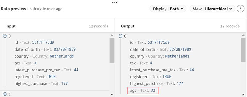 In der Ausgabedatenvorschau wird eine neue Spalte „age (Alter)“ angezeigt.