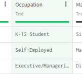 Die Spalte „Occupation (Tätigkeit)“ ist ausgewählt.