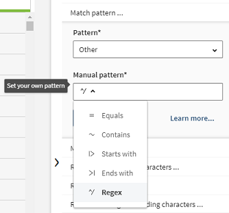 Ausgewählte Regex-Option im Feld „Manual pattern (Manuelles Muster)“