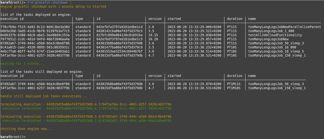 Screenshot der Ausführung des Prozesses „Graceful Shutdown“ für eine Remote Engine in der Karaf-Konsole