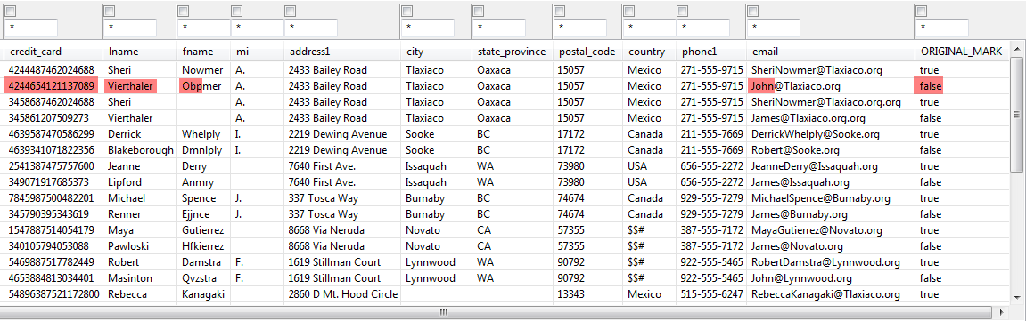 Example of the Data Viewer display.