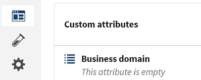 New custom attribute from the dataset overview.