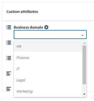 Predefined values for a custom attribute.