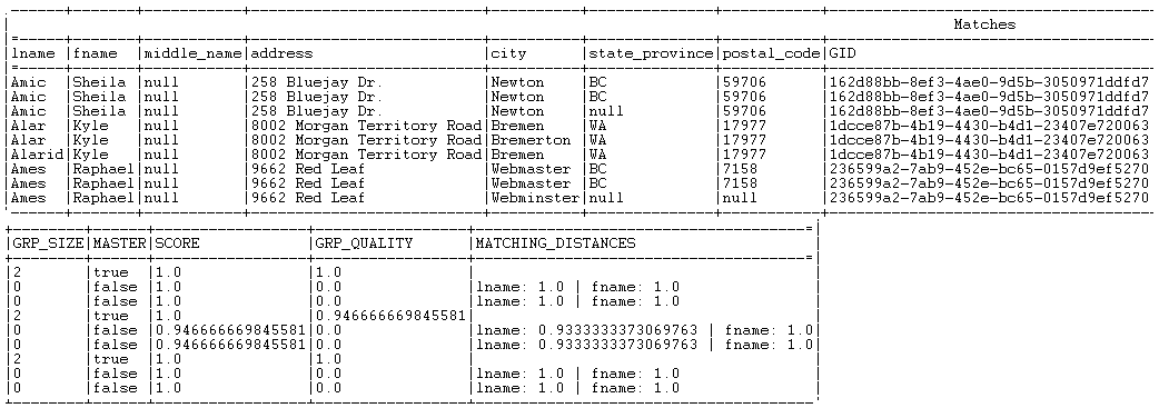 Results of the 'matches' results.