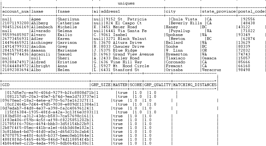 Results of the 'uniques' records.