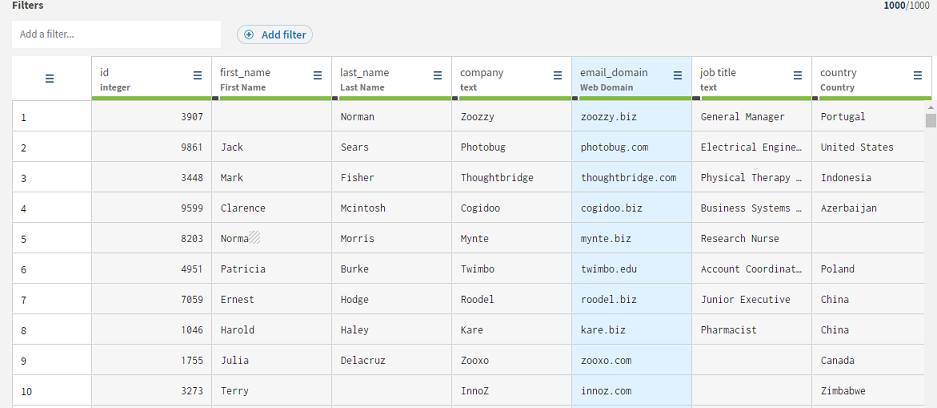 Grid view of the dataset that includes the email_domain column.