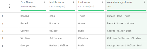 Dataset containing customer information with merged column.