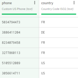 Dataset containing customer information.