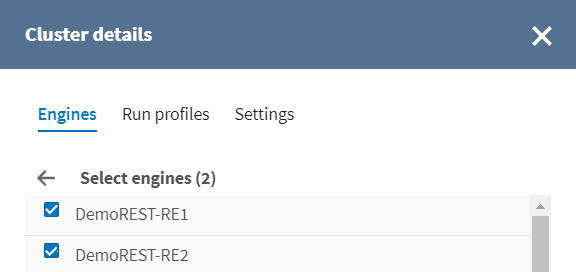 Selection of the two Remotes Engines in the Engines tab of the Cluster details panel.