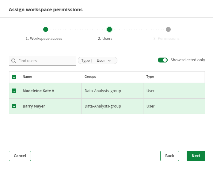 List of users selected for workspace permission assignment.