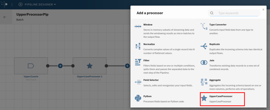 Screenshot on the display of the new processor in Add a processor window.