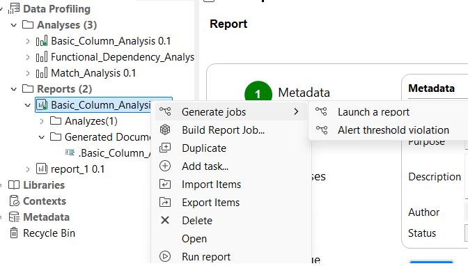 Contextual menu of a report.