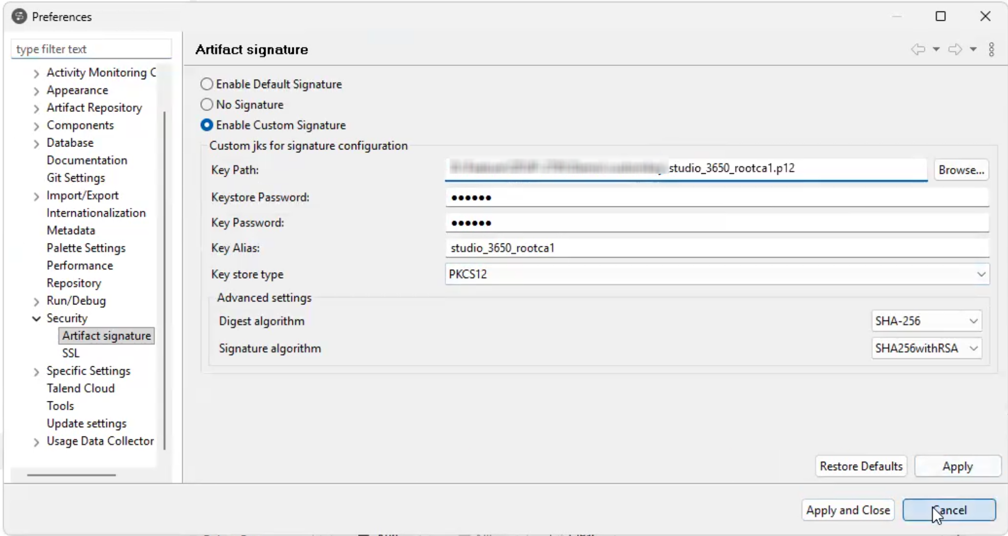 Artifact signature preferences panel with Enable Custom Signature selected, showing the Key Path, Keystore Password, Key Password, Key Alias, Keystore Type, Digest Algorithm, and Signature Algorithm fields.