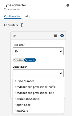 Vue d'ensemble du panneau de configuration du processeur Type Converter.