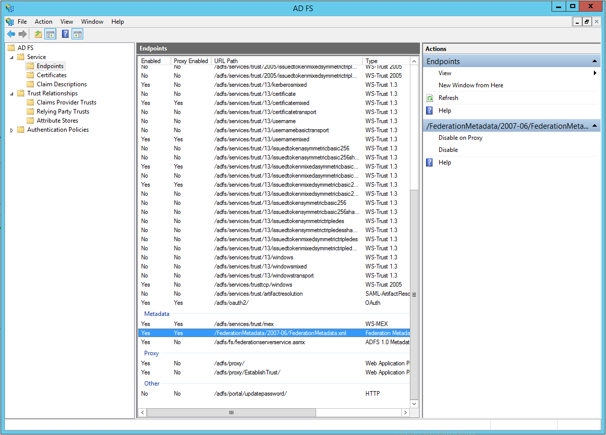 Section Metadata (Métadonnées) dans la vue Endpoints.