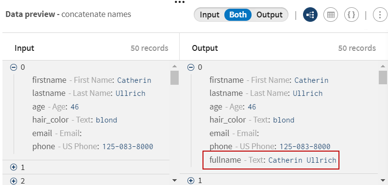 [Output data] (出力データ)プレビューで、カテゴリーのフルネームが表示されています。