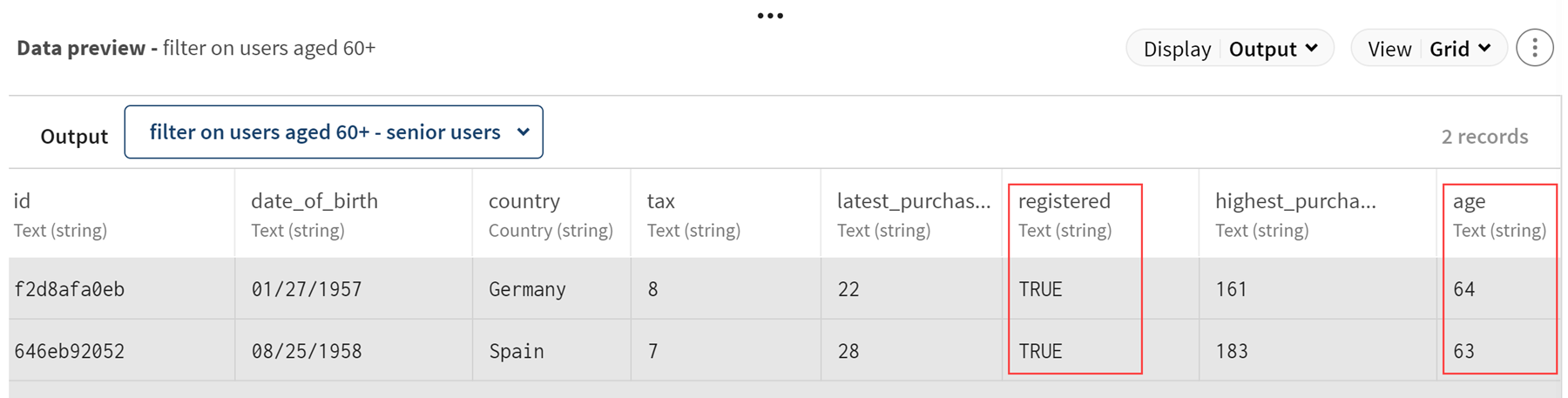 [Output data] (出力データ)プレビューで、2件のレコードが基準にマッチしています。