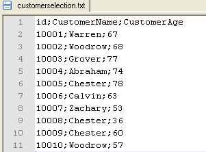 customerselection.txtファイルのコンテンツのスクリーンショット。