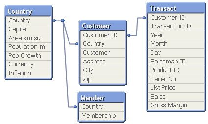 Four tables: a list of countries, a list of customers, a list of transactions, and a list of memberships, which are associated with each other through the fields Country and CustomerID.